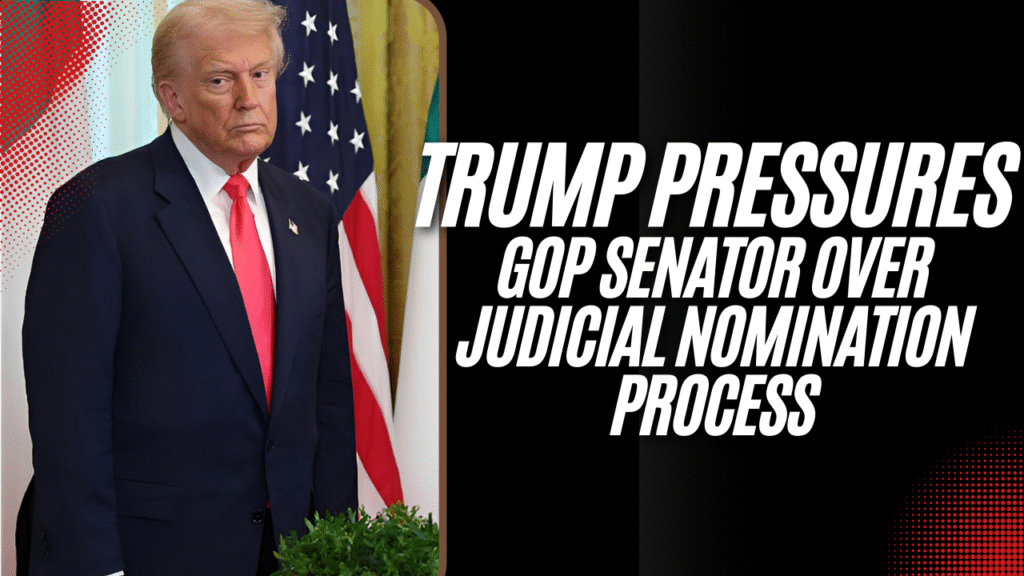Trump Pressures GOP Senator Over Judicial Nomination Process